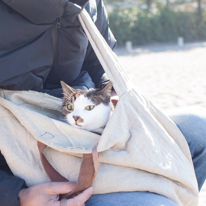 D56ba7ed 4246 4cea 8546 0cebb31518ca 1547897756676