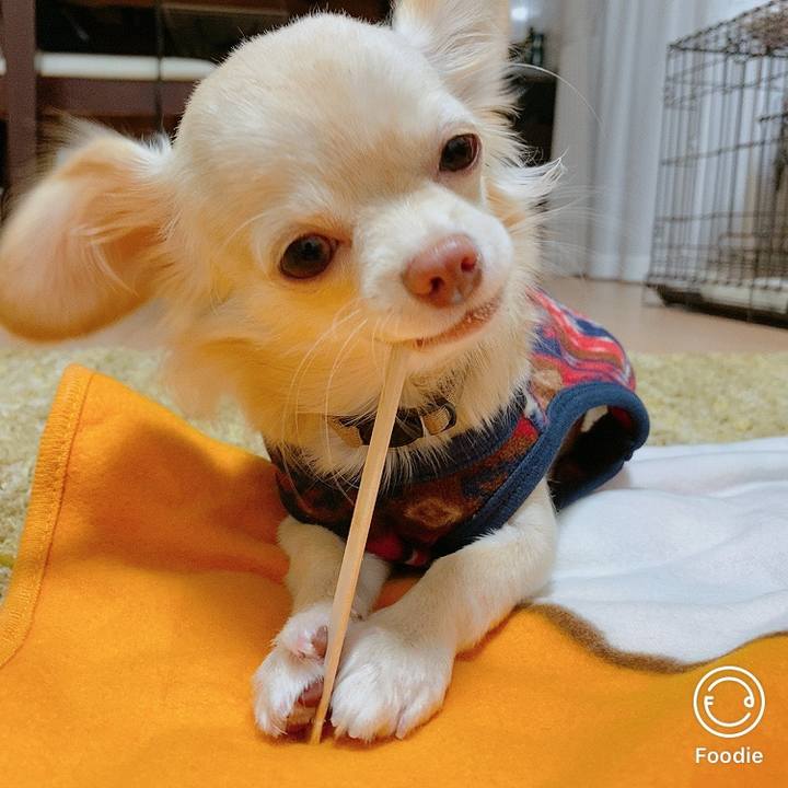 D56baf9d 7764 4885 b376 c377027fb9c8 1604200651665