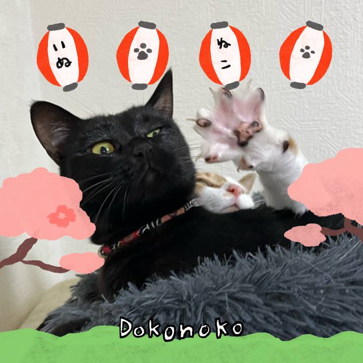 D56c1bbd 2e3c 4495 bfe5 9798b068db24 1712478205833