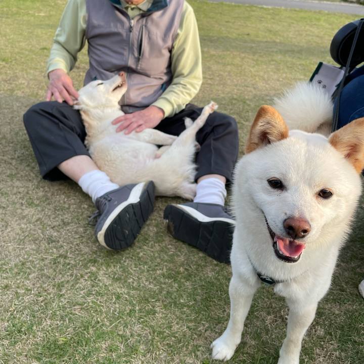 D56c4150 3881 49ef a187 f74b6500ff9c 1679996987237