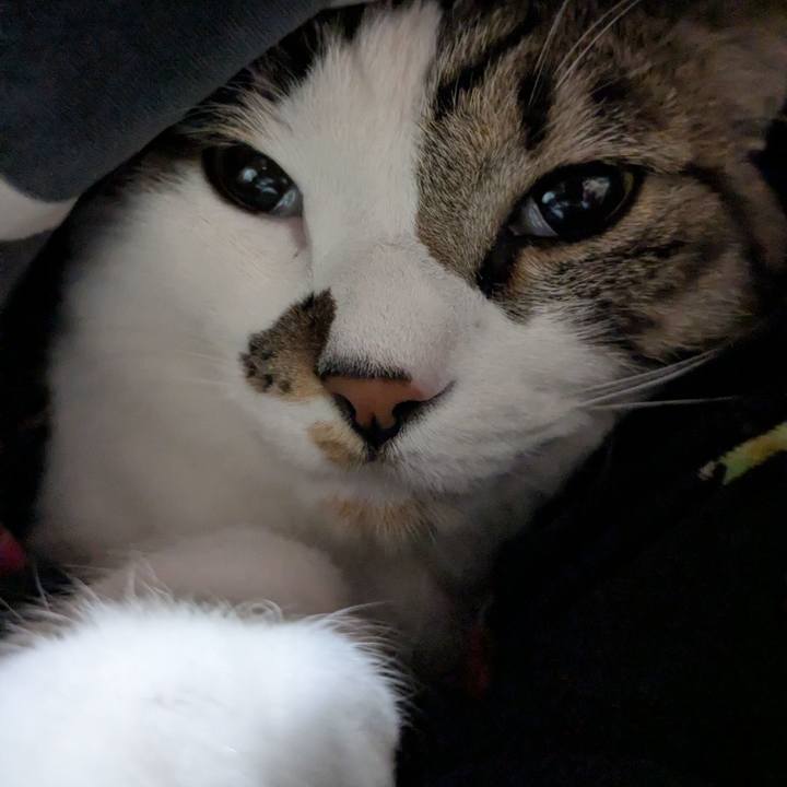 D56c426d 0658 482a a19c 86431d9d8f10 1741384476809