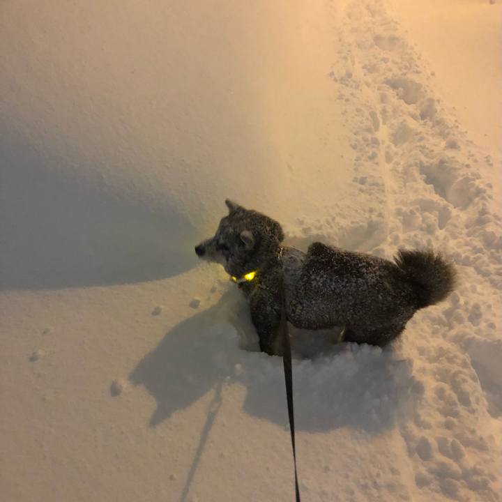 D56c5b42 77f3 492b 8c7a b550a885bdcd 1610075884055