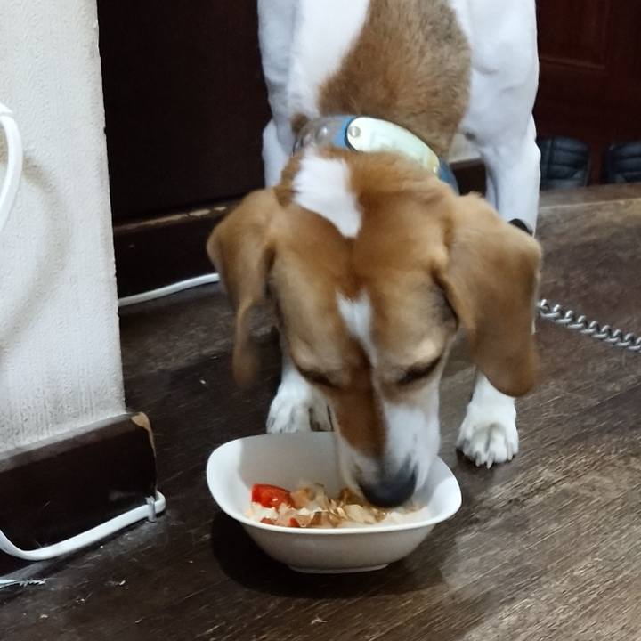 D56c631e be19 420b 9ac7 1094f26debbb 1610966087361