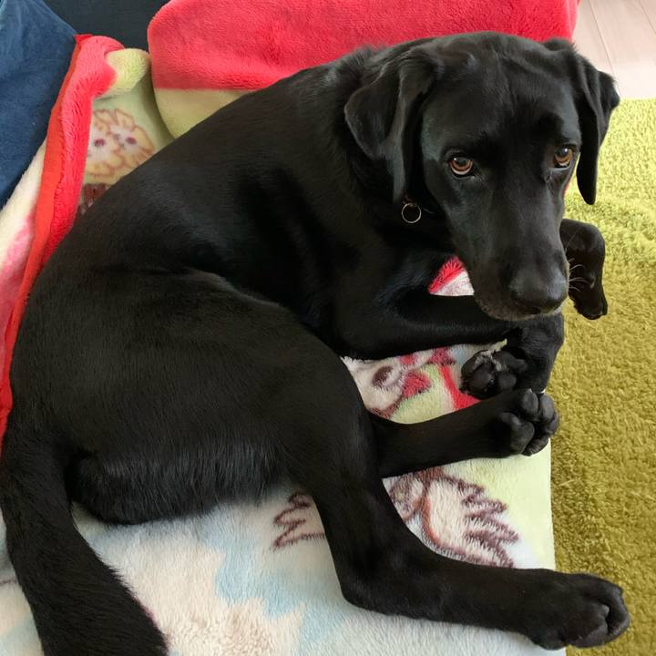 D56c761a a5c6 429e a58f 06a9de02cb7f 1588160059553