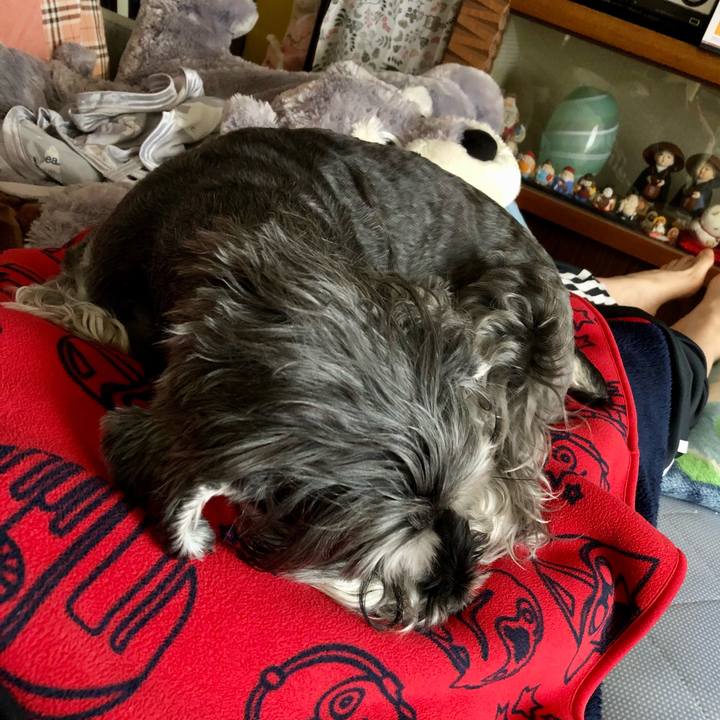 D56c8792 640d 47d8 8fc0 543828822600 1653713010304