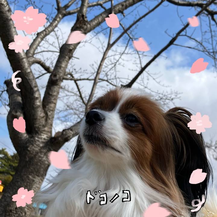 D56c9c5c c2d8 43b8 b683 3fff5e50aec2 1744503921154