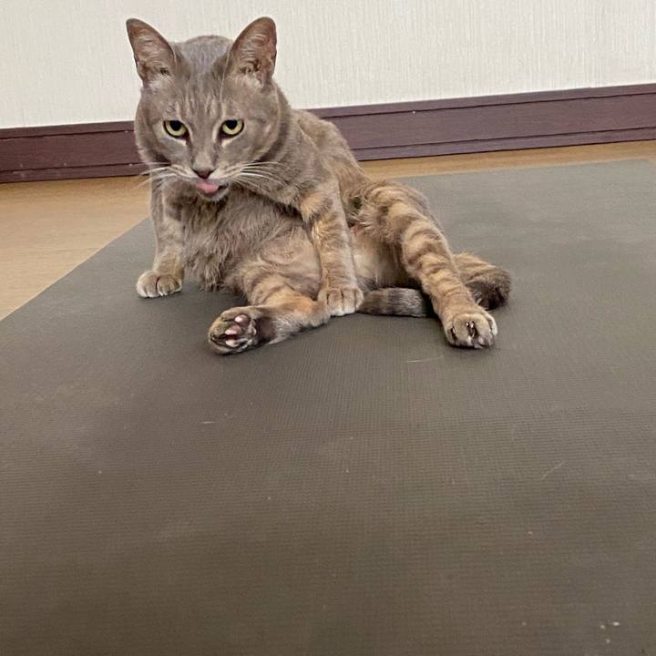 D56ca754 e64e 43a3 a1a2 6bef9a77d644 1579844181877