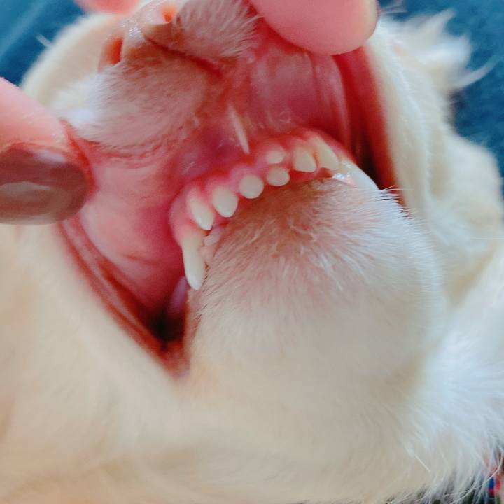 D56cae5c 0599 4771 86e3 cdb336e1ea3a 1639289702814