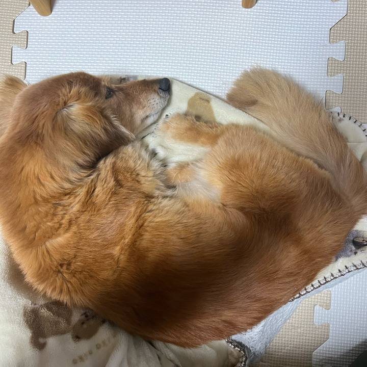 D56cb5b9 d439 4125 aa97 52d915db9a11 1647944940934