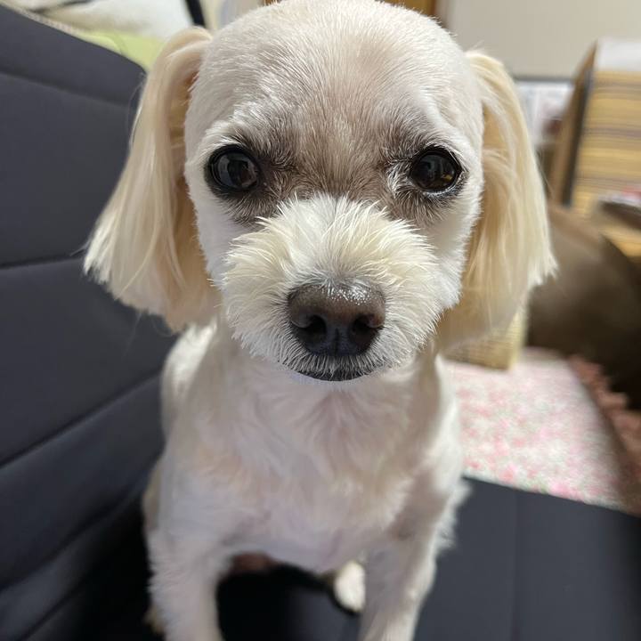 D56ce151 d253 4547 979a 3a11af93a944 1686315827959