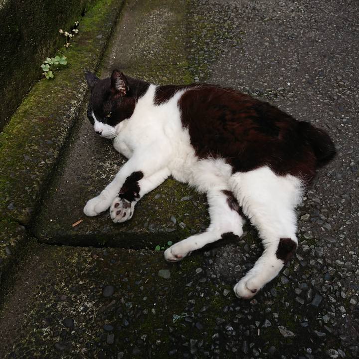 D56ce9f7 1ccc 4b75 b206 067ede87d4fc 1688433829786