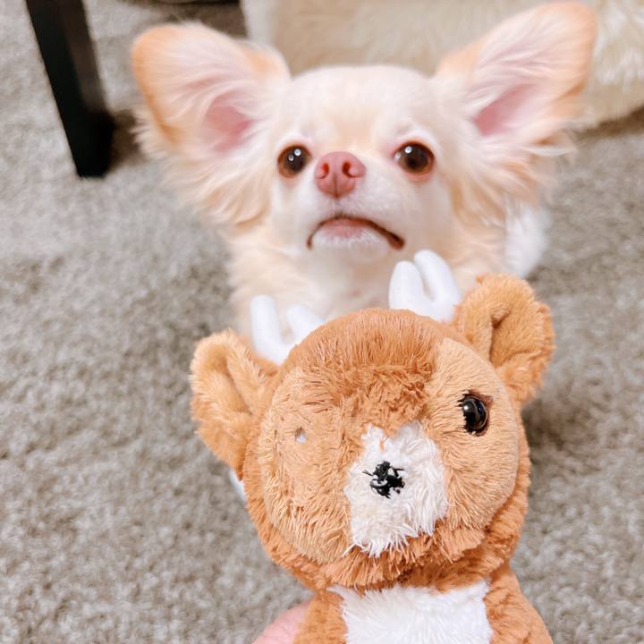 D56cee2e 0260 4ca3 ba6a 4a4e645e8a78 1657891461186