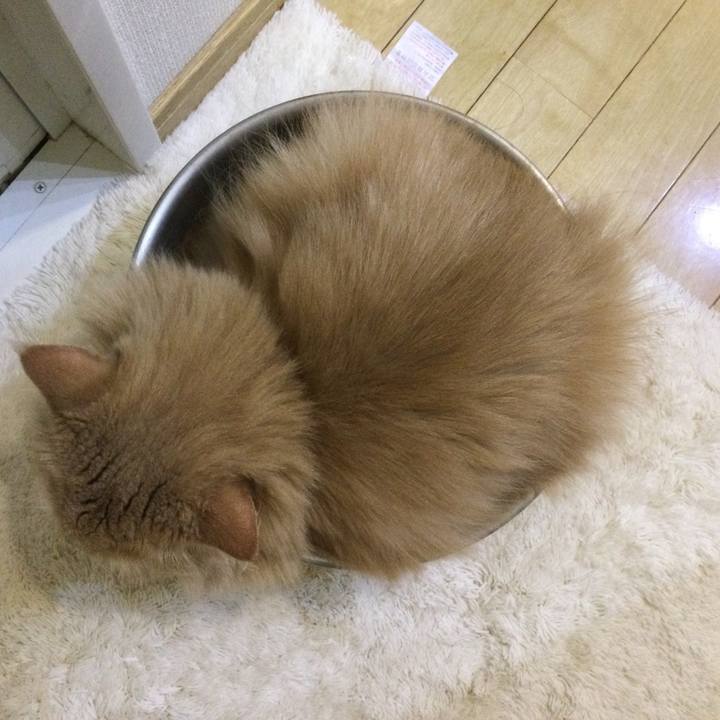 D56cf91a df5d 4650 8071 f94cb8fa8d8c 1631274735671