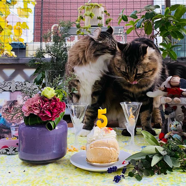 D56d030d 904c 465d b497 b53cf3c01a9e 1636456476350