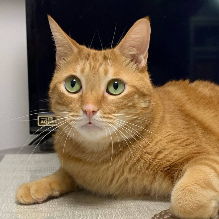 D56d04ca 4dfe 45f4 8aec 08f86355459b 1633642249319