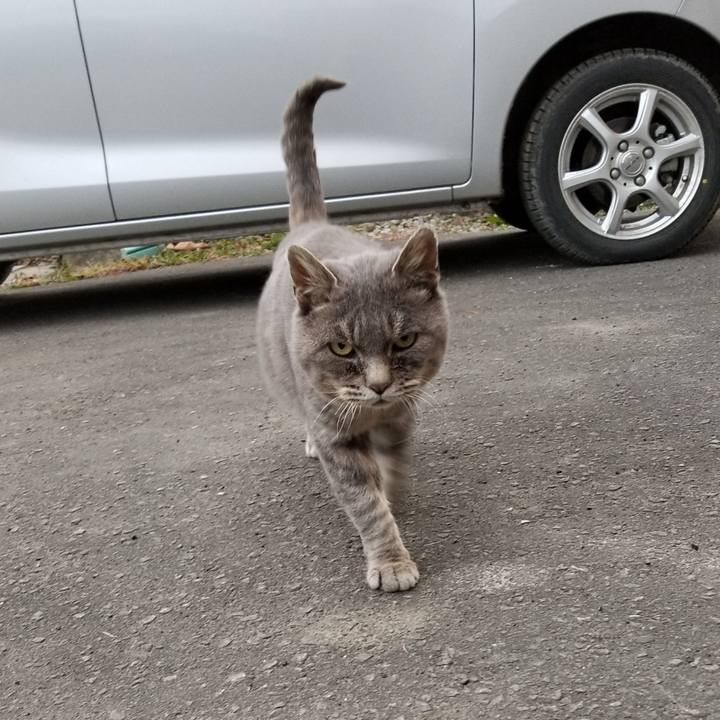 D56d15ee 685f 4dcd 923e a74de11b6aae 1541591645226