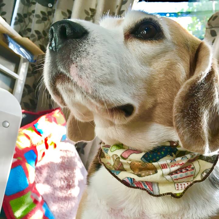 D56d19a8 8cf4 4eac 86da 9bce537550e2 1764663551886