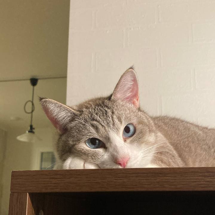 D56d2f18 8078 45d9 b2bc a79b108bde8d 1631538845194