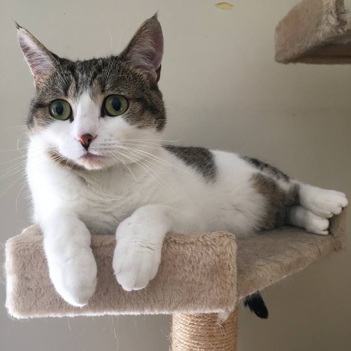 D56d5719 544a 40ff b804 de7194c92bfc 1626440352361