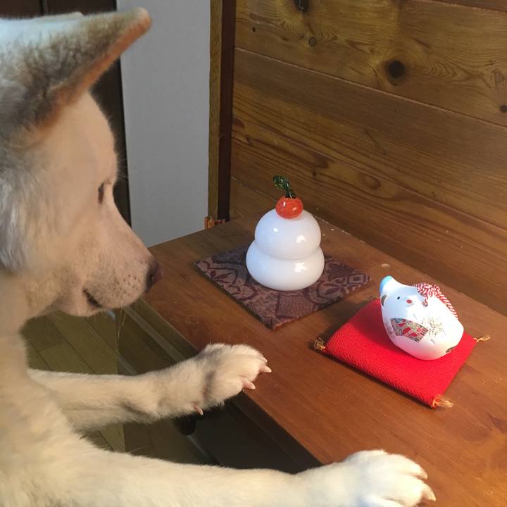 D56d5a45 4b73 4db0 a98d 41cb0a81a5b8 1546143523455