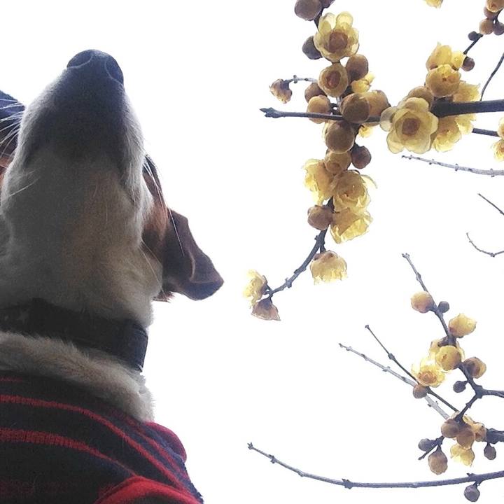 D56d94d4 48ec 4b7f 908d 3354af305504 1516259628626