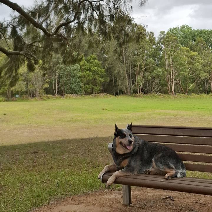 D56d99a6 ef9a 48fa 9c91 e77c11c7eb2f 1767261595144