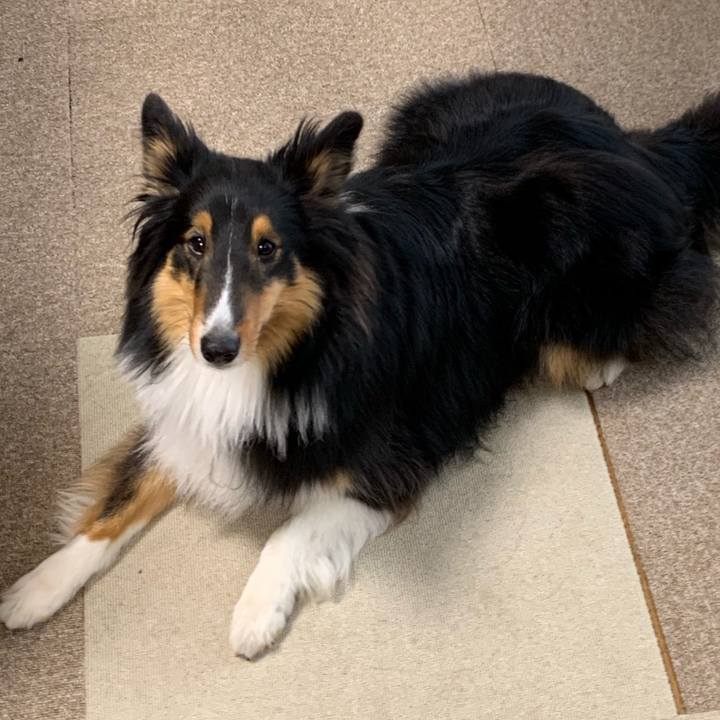 D56d9aac fe5f 4760 aa7a 82f80e338a49 1551822367994