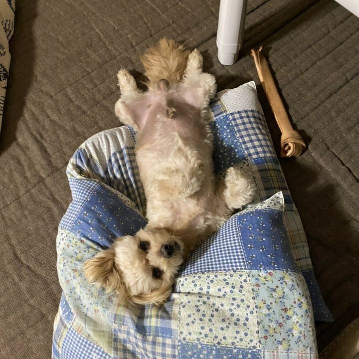 D56da2ee a9d1 48c1 af78 0e5ad8f6cddd 1599811373531