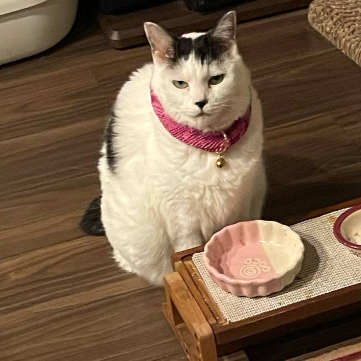 D56db19f 1e24 4f88 b8ed 438e97240e4c 1767526143940