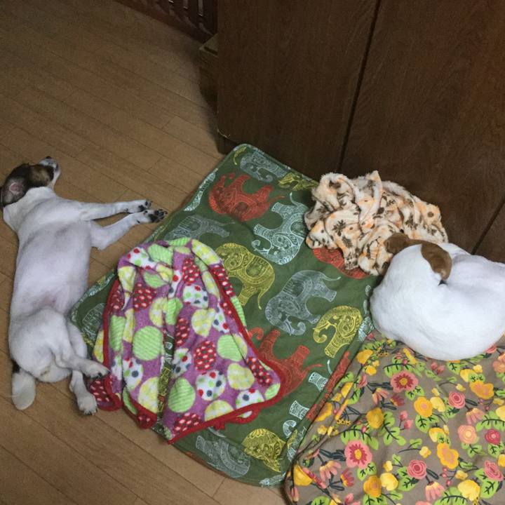 D56db298 efff 4a81 aed0 b28b66525bf4 1534286511939