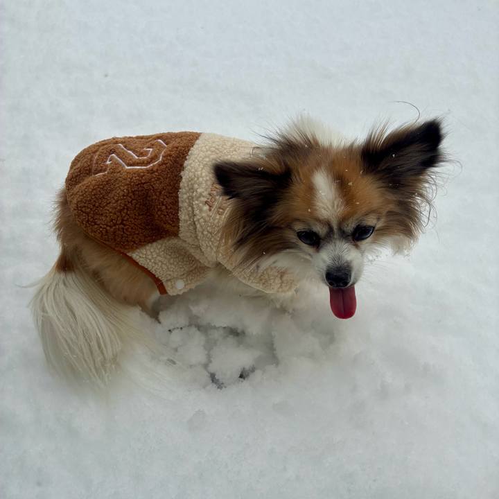 D56dcf66 9c82 446d 9008 a7bf1c324d68 1770514728151