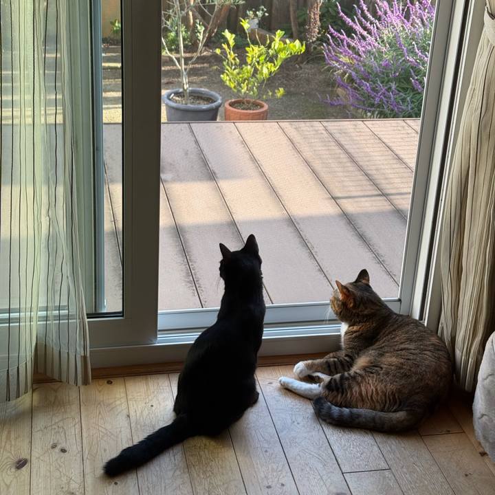 D56dd60c 4b62 45a1 ac7a 953c65fa81bf 1760568428457