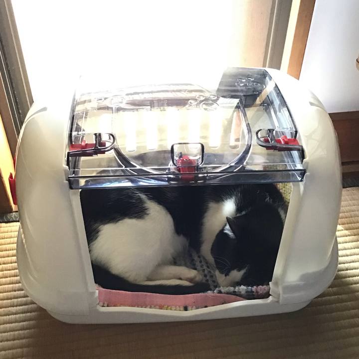 D56dd7af 574e 443f 9023 15ad2135d605 1635233883816