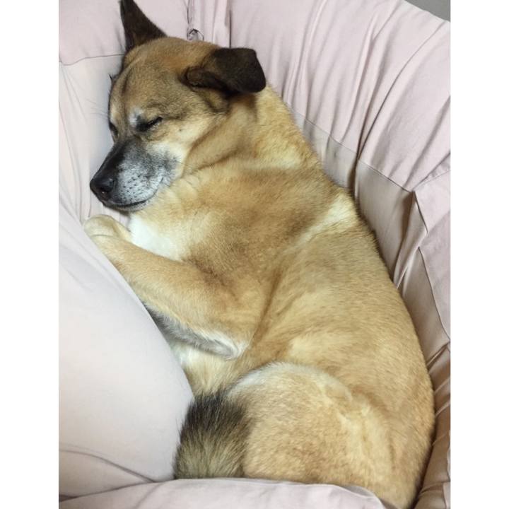 D56dfbd6 203b 4f1e a892 b63d2fc451cb 1551445556973