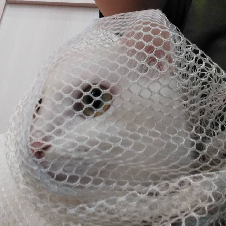 D56e2dcf 9bc1 4962 a662 adf2bf9e9a4b 1630549776167