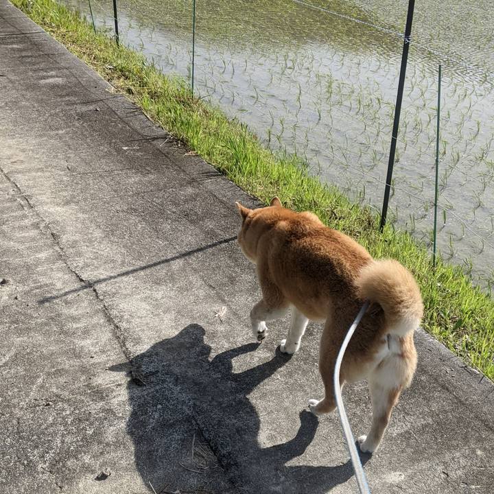 D56e3c23 af01 433e 815c 5d12b99e9663 1746603284264