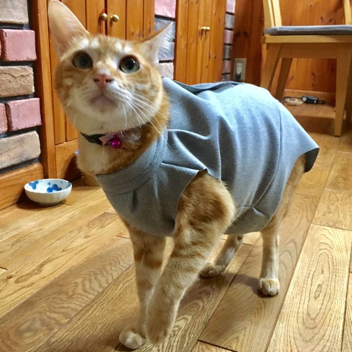 D56ebe23 0355 41a8 a9c3 88813ffe289d 1521615413012