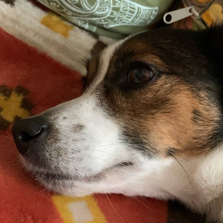 D56ee923 4516 4ab3 bec6 bfc778d0c438 1588386218337