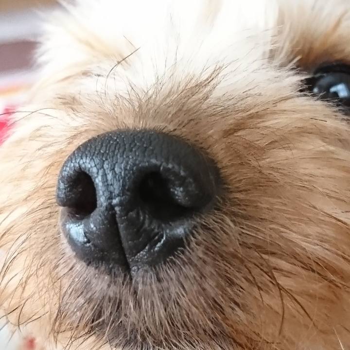 D56efc24 9964 484f 8607 8b4f49fcc487 1523861341759