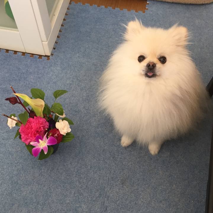 D56efc75 dfca 410f 87f9 0f78d8e06bd3 1598755671708