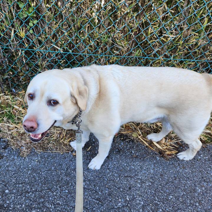 D56f4f50 02a2 49a3 a368 83cb22190bdf 1706063372066