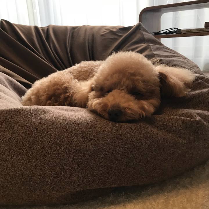 D56f8cf6 9ec5 42dc aa72 c41f51e0e07b 1516321683985