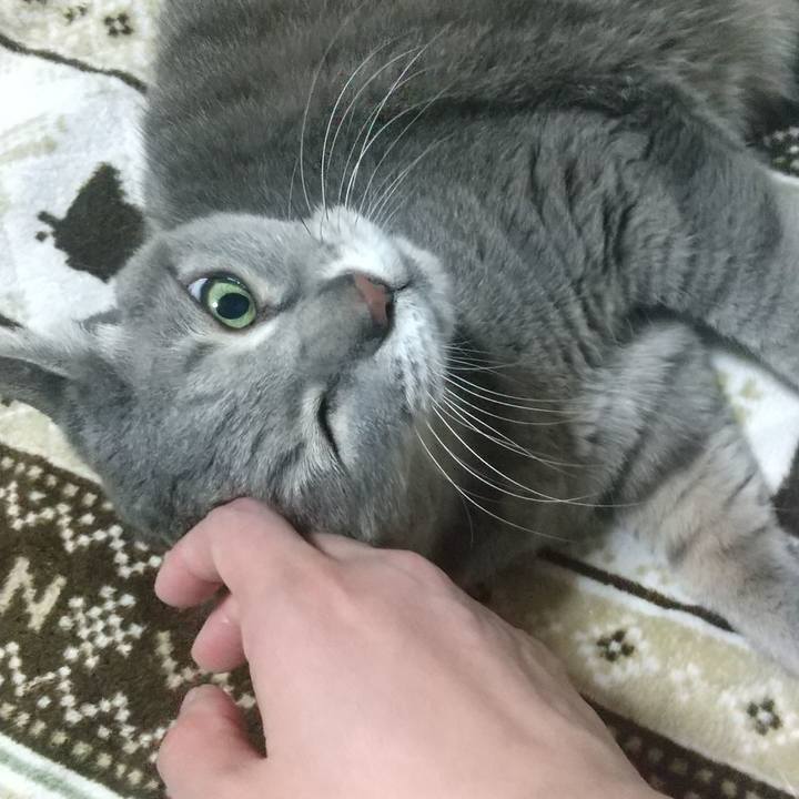 D56fb034 1147 4b7a 9dc3 ff52b7e2eb1a 1608818056034