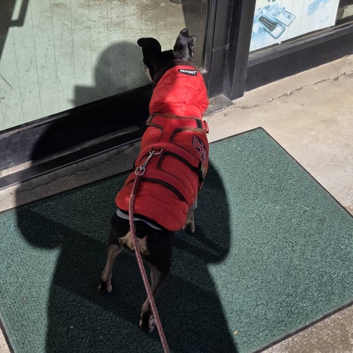 D56fc738 0af5 41a2 befa 7fe3a435aad1 1769824281601