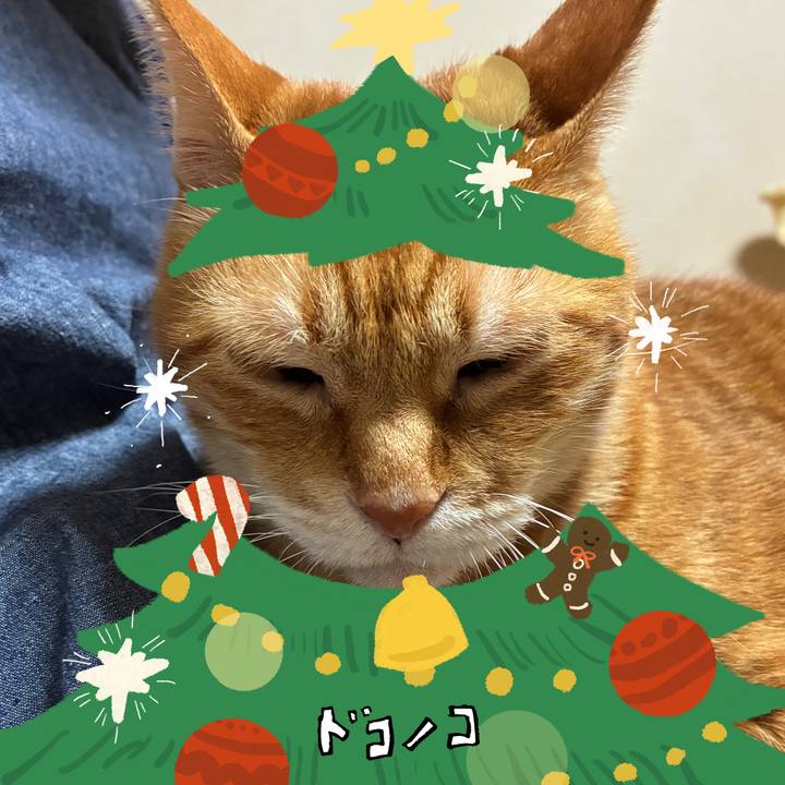 D56ff84f a72d 4a71 ab20 ac1c4db59225 1762080890965