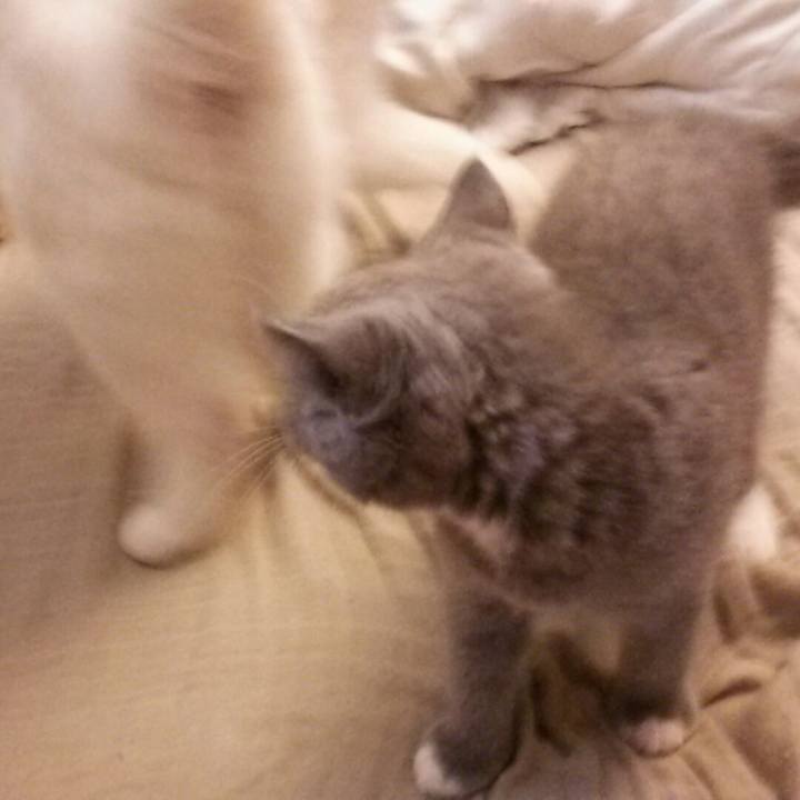 D5702214 9833 4723 817d 504efa85ac16 1532240445176