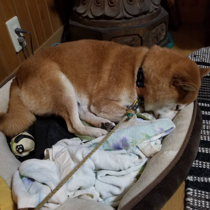 D5702d96 b4b7 429c af7d cd47b98fe44c 1569818971309