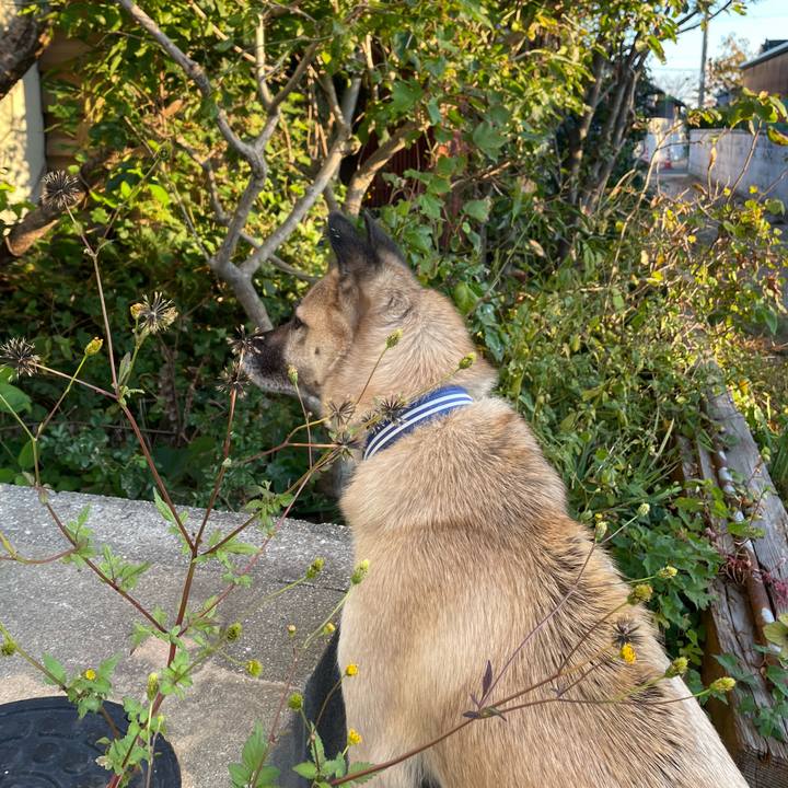 D57032a5 142d 44bb b9eb 4a5fae34dbd1 1666785732103