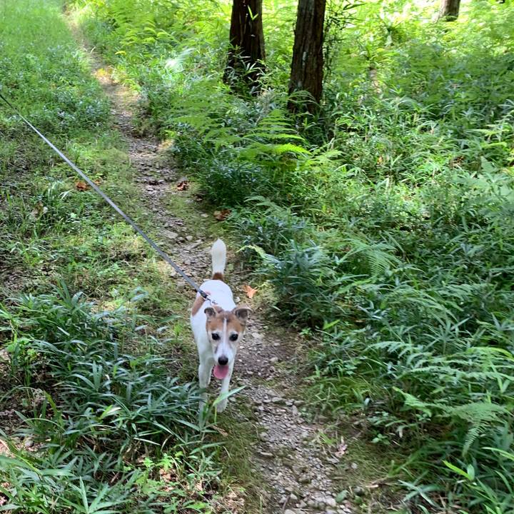 D57032b5 5e7c 438d 931b 2a76816785f8 1627033748528