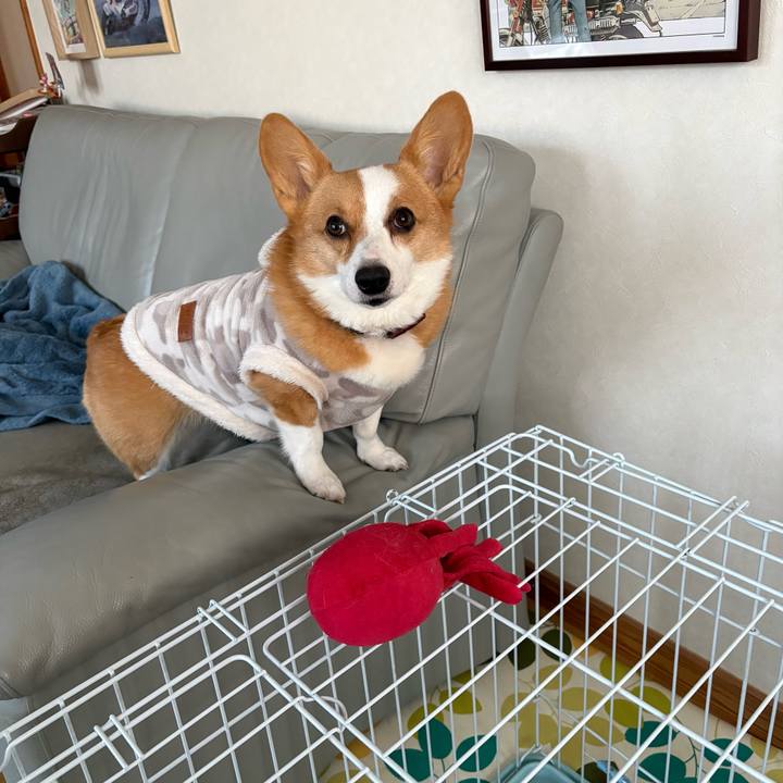 D5703cc3 5539 4754 af95 ae73e1880d3b 1768693672460